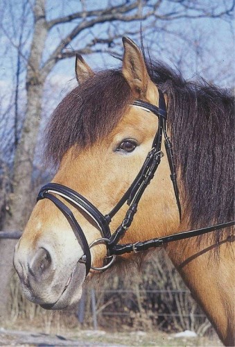 361560f420de5a2b68c8fe56052ede75