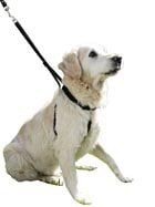 b6365a764bb718e17fac25c5fb3259c4