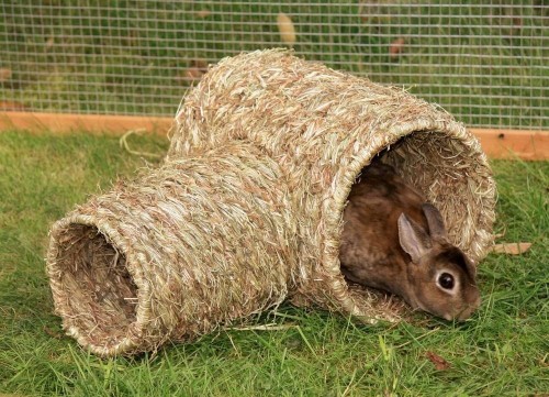 b6e03720a8ebc301c5fa07b85f98e5af