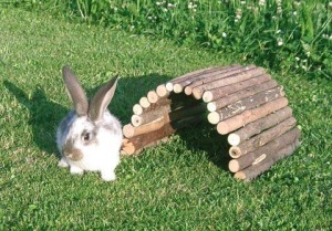 Drewniany most dla gryzoni z naturalnego drewna, 27x16cm, Kerbl