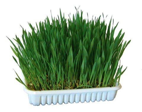 7abbc27a0ee9e640dec602f7968bcd06