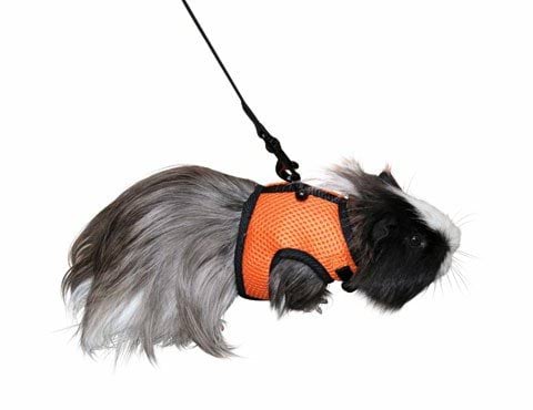 db83780c73e94ae21aceba2f3ca6a950