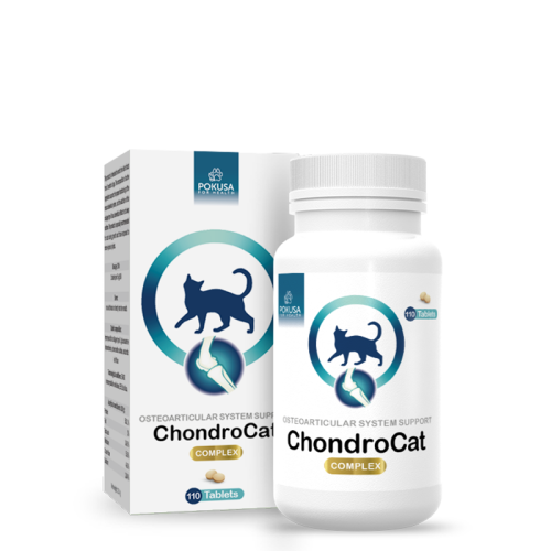 chondrocat-wsparcie-ukladu-kostno-stawowego-u-kotow-110-szt.jpg