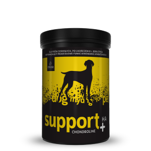 ChondroLine Support +HA dla psów doroslych 350 g POKUSA
